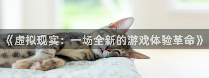 赢咖娱乐app：《虚拟现实：一场全新的游戏体验革命》