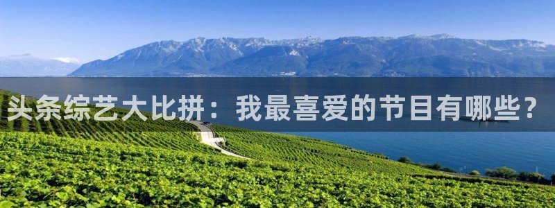赢咖娱乐平台登录：头条综艺大比拼：我最喜爱的节目有哪些？