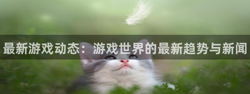 赢咖娱乐4主管：最新游戏动态：游戏世界的最新趋势与新闻