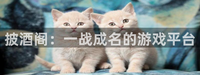 赢咖娱乐登陆：披酒阁：一战成名的游戏平台
