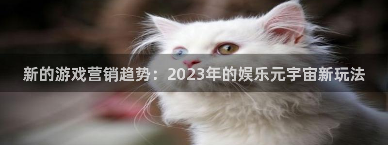 手机赢咖娱乐下载安装：新的游戏营销趋势：2023年的娱乐元宇