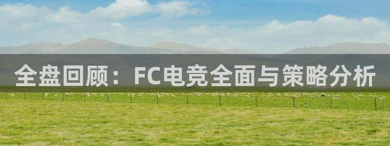 赢咖娱乐平台官网客服电话：全盘回顾：FC电竞全面与策略分析