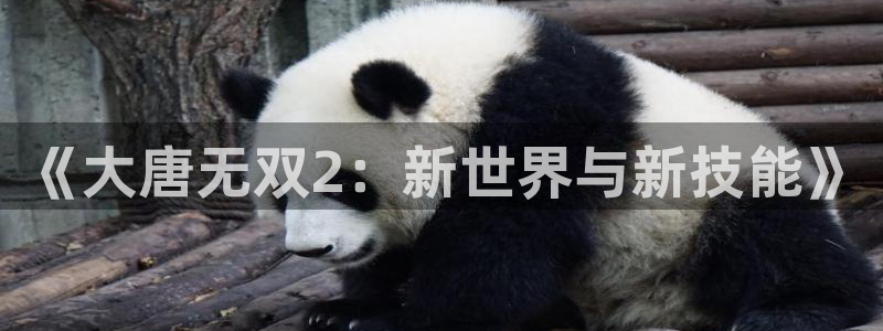 赢咖娱乐：《大唐无双2：新世界与新技能》