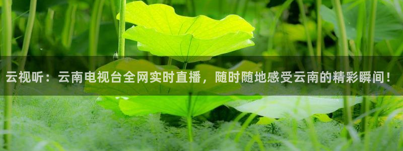 球神直播体育免费直播