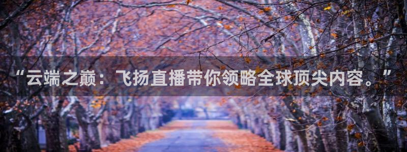 球神体育