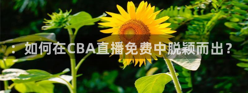 球神直播体育足球：：如何在CBA直播免费中脱颖而出？