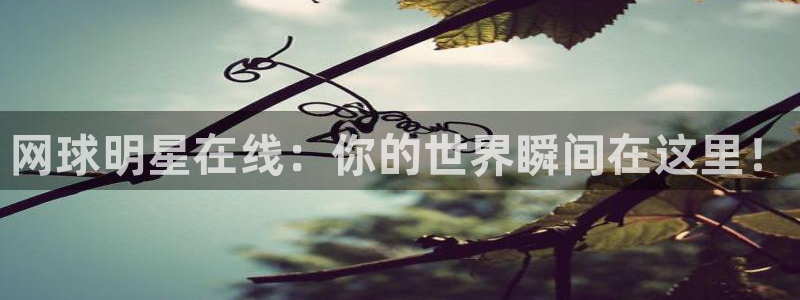 球神直播体育在线观看足球：网球明星在线：你的世界瞬间在这里！