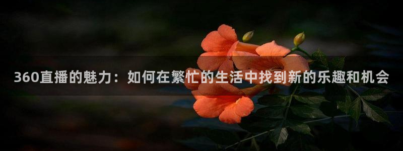 球神在线直播：360直播的魅力：如何在繁忙的生活中找到新的乐趣和机会