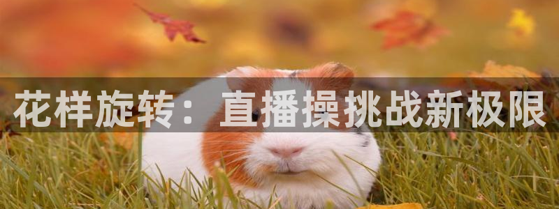 球神体育在线直播：花样旋转：直播操挑战新极限