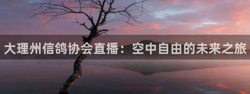 球神直播体育在线：大理州信鸽协会直播：空中自由的未来之旅